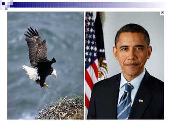 United States of America #6
