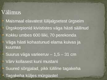 Skorpionid #2