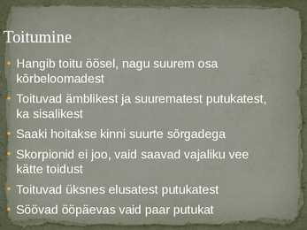 Skorpionid #4