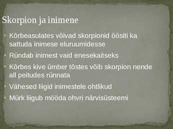 Skorpionid #8