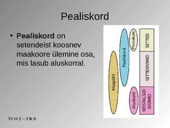 Eesti aluspõhi #6