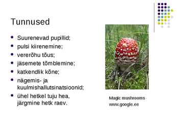 Esitlus psühhotroopsetest hallutsinogeensetest seentest #3