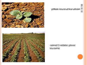 Taimede kloonimine ja meristeempaljundus #10