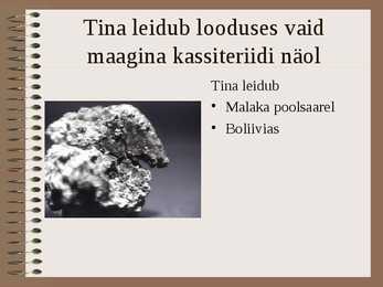 Tina - Sn #4