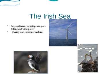 Seas around Ireland #6