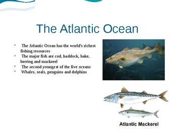 Seas around Ireland #9