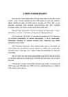 Punane raamat #4