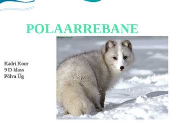 Polaarrebane