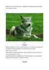 Hunt-Canis lupus #2