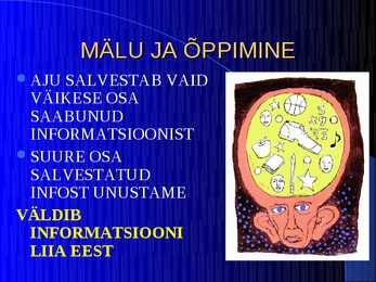 Kõrgem närvitalitlus #12