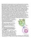 Immunoloogia eksamiks kordamine #16