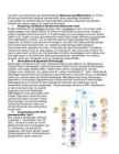 Immunoloogia eksamiks kordamine #4