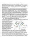 Immunoloogia eksamiks kordamine #7
