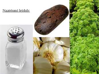Organismi keemiline koostis - slideshow #10