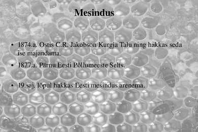 C R-Jakobson #3