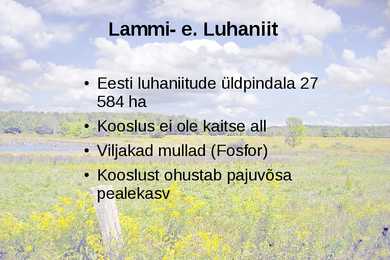 Lamminiit #2