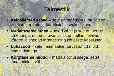Lamminiit #3