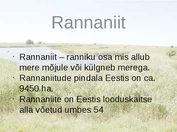 Rannaniit-Power Point #2