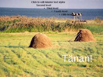 Rannaniit-Power Point #12