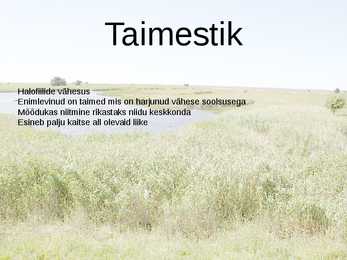 Rannaniit-Power Point #3