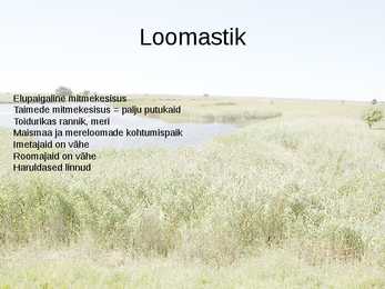 Rannaniit-Power Point #8