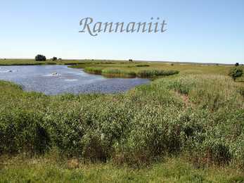 Rannaniit-Power Point