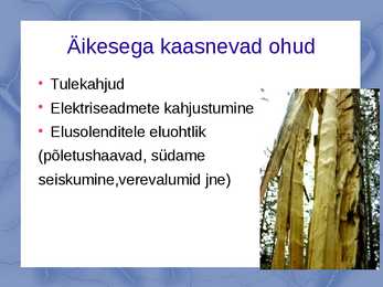 Äikese slideshow #6