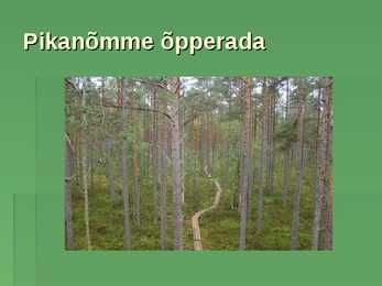 Lahemaa Rahvuspark #14