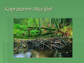 Lahemaa Rahvuspark #22