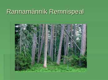 Lahemaa Rahvuspark #35