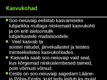 Neiuvaip #13