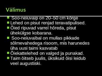 Neiuvaip #9