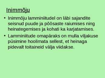 Lamminiidud #7