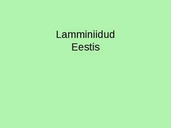 Lamminiidud