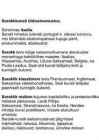 Barokk Itaalias ja Saksamaal #2