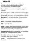 Barokk Itaalias ja Saksamaal #17