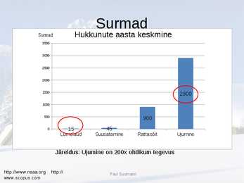Power Pointi esitluse näide #13