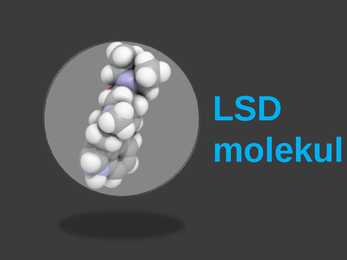 LSD #7