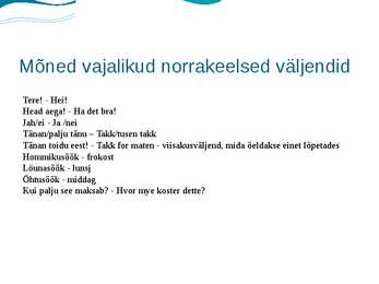 Slaidiesitus Norra #9