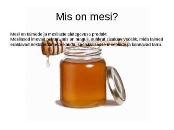 Mesi #2