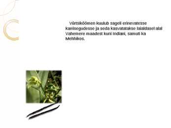 Vanill #7