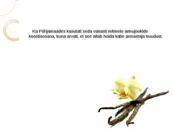 Vanill #8