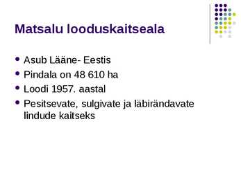 Matsalu rahvuspark #2