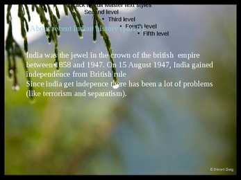 India esitlus powerpointis #5