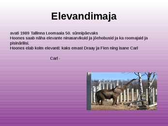 Tallinna loomaaed powerpoint esitlus #4
