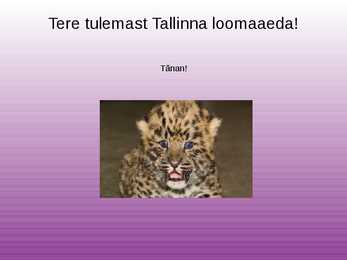 Tallinna loomaaed powerpoint esitlus #8