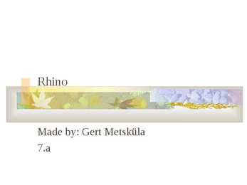 Rhino