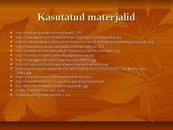 Metsarinded #7