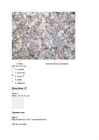Moodle Test nr 4 #14
