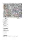 Moodle Test nr 4 #20